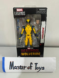 Hasbro Marvel Legends Deadpool Wolverine Movie Verse - Ready Stock
