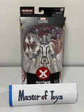 Hasbro Marvel Legends X-Men House of X Magneto with BAF - Ready Stock