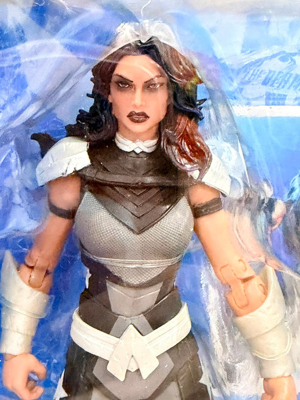McFarlane DC Multiverse Donna Troy (Titans) Without CTB Beast Boy - Ready Stock