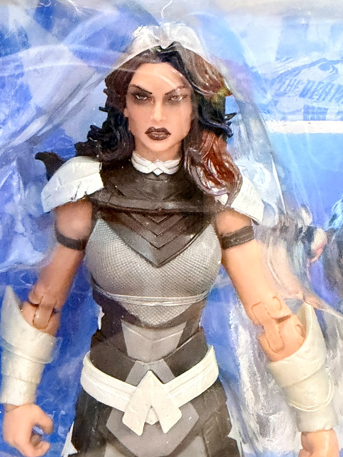 McFarlane DC Multiverse Donna Troy (Titans) Without CTB Beast Boy - Ready Stock