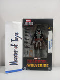 Hasbro Marvel Legends Deadpool & Wolverine Deadpool (Concept Art) - Ready Stock