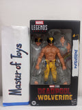 Hasbro Marvel Legends Deadpool & Wolverine - Wolverine  - Ready Stock