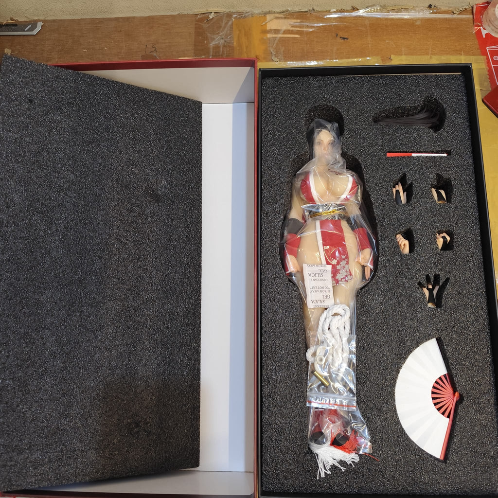 Ninja Cat N001 Mai Shiranui Action Figure 1/6 30 cm- Ready Stock