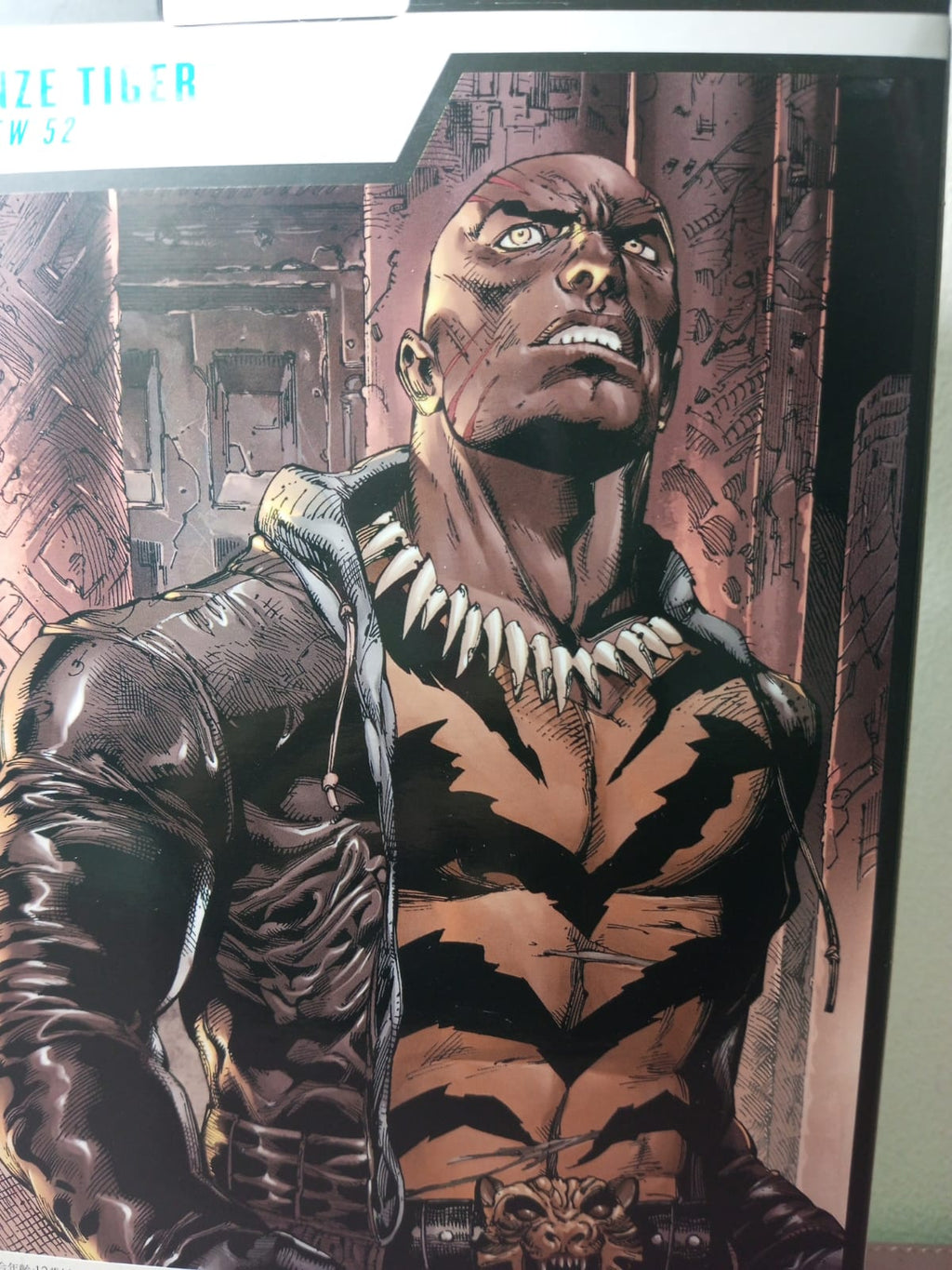 McFarlane DC Multiverse Bronze Tiger (The New 52)- Ready Stock