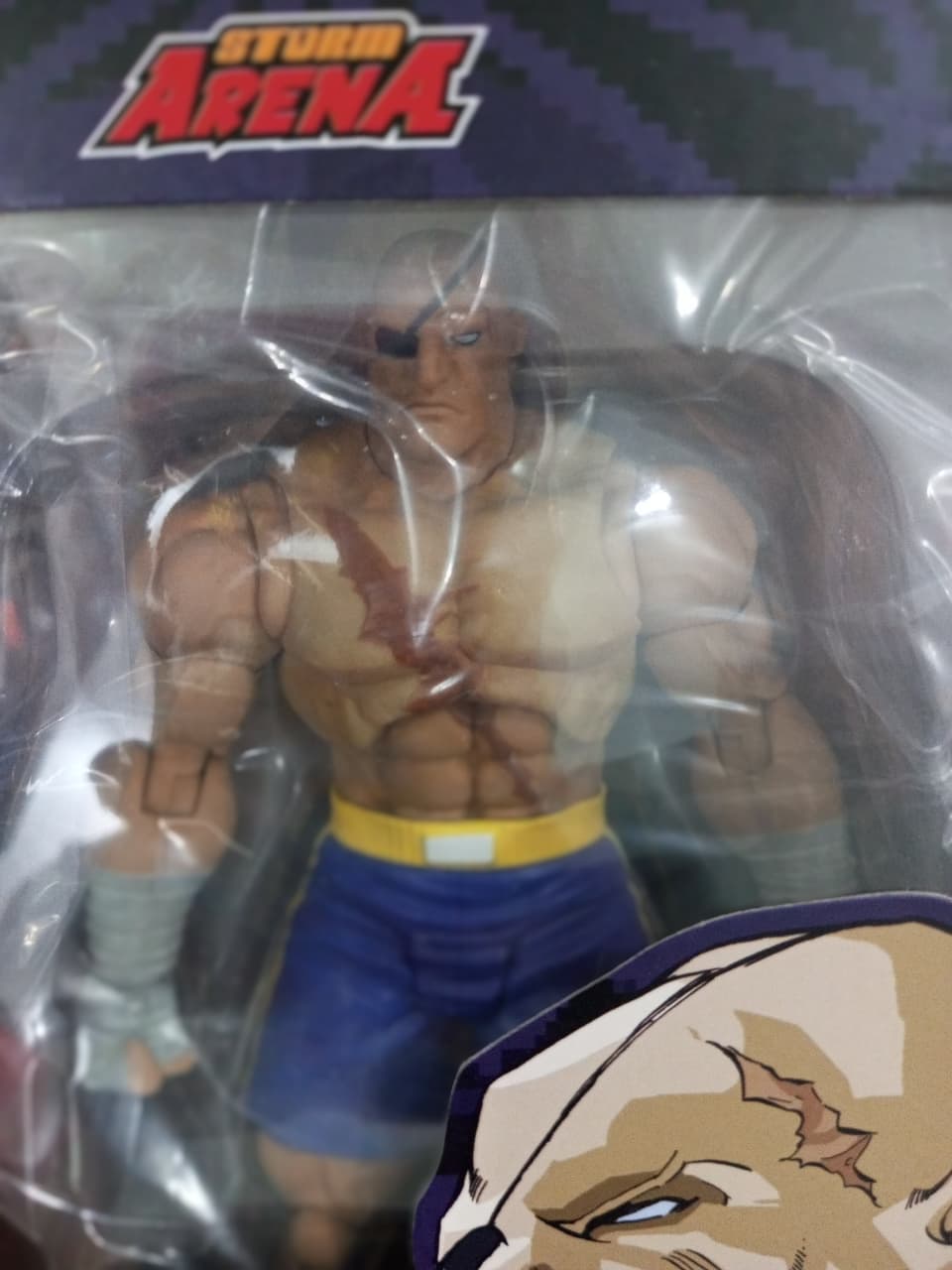 Storm Arena Street Fighter Zero 3 Sagat  - Ready Stock